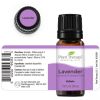 Lavender Essential Oil 10 mL