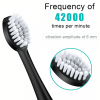 Rechargeable Sonic Electric Toothbrush Brush Heads Toothbrushes for Adults Kids XH