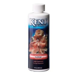 KNT SPLMT SPR IODIDE 8OZ