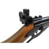 Daisy Avanti 499 Champion Competition BB Rifle