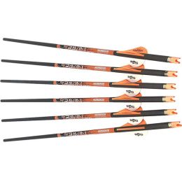 Ravin 400 Grain 20" Crossbow Arrows (6 Pack)